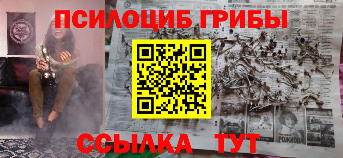 Тамбов  Галлюциногенные грибы Magic Shrooms  Вход с VPN 
